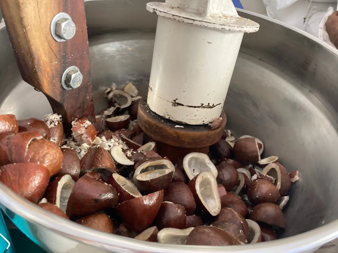 Cold pressed oil vs refined oil